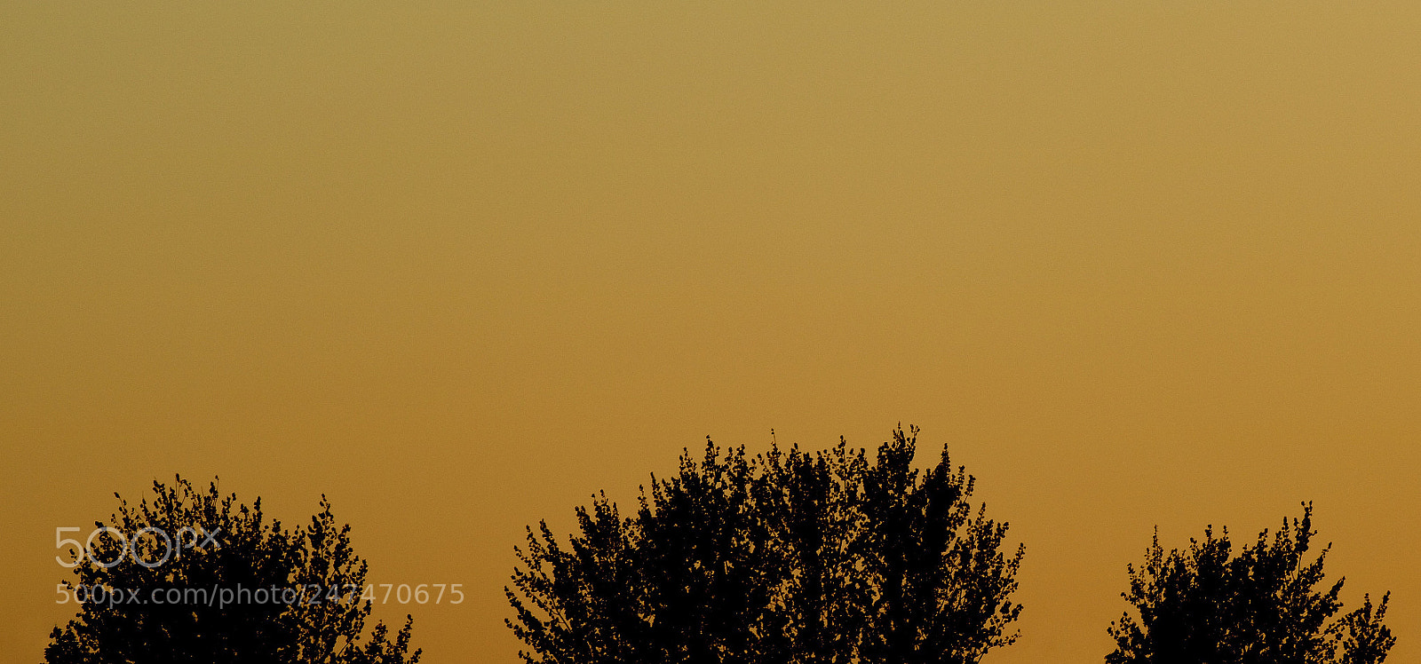 Canon EOS M3 sample photo. Point of view photography