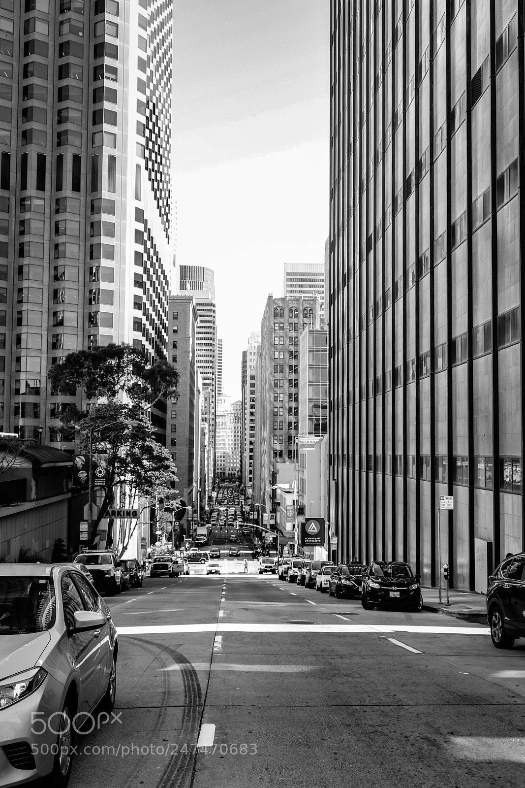 Canon EOS 6D Mark II sample photo. Ciudad photography