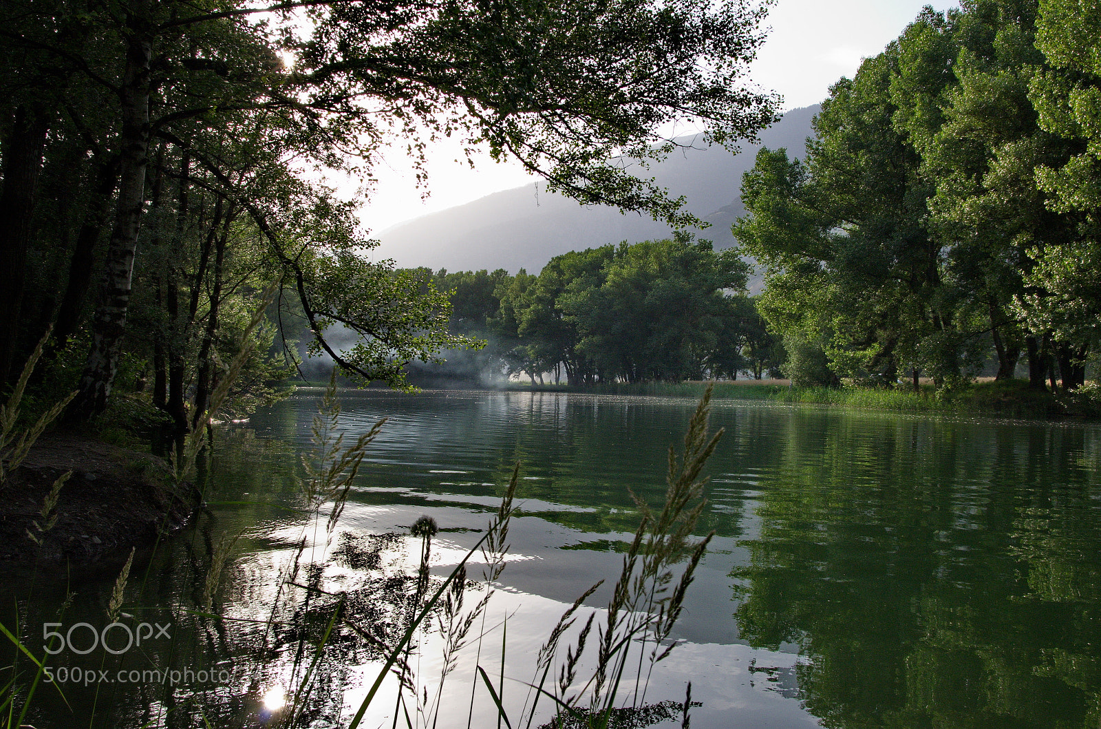 Pentax K-30 sample photo. Untitled photography