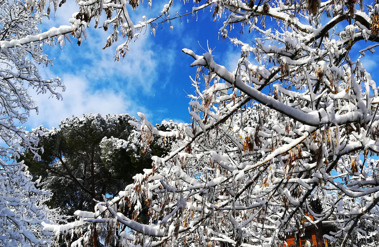 HUAWEI P10 lite sample photo. Color of snow photography