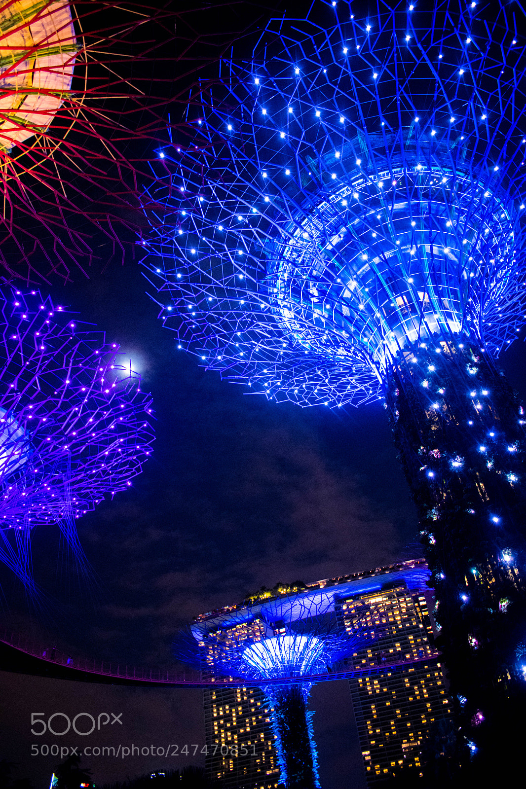 Nikon D5600 sample photo. Changi singapore photography