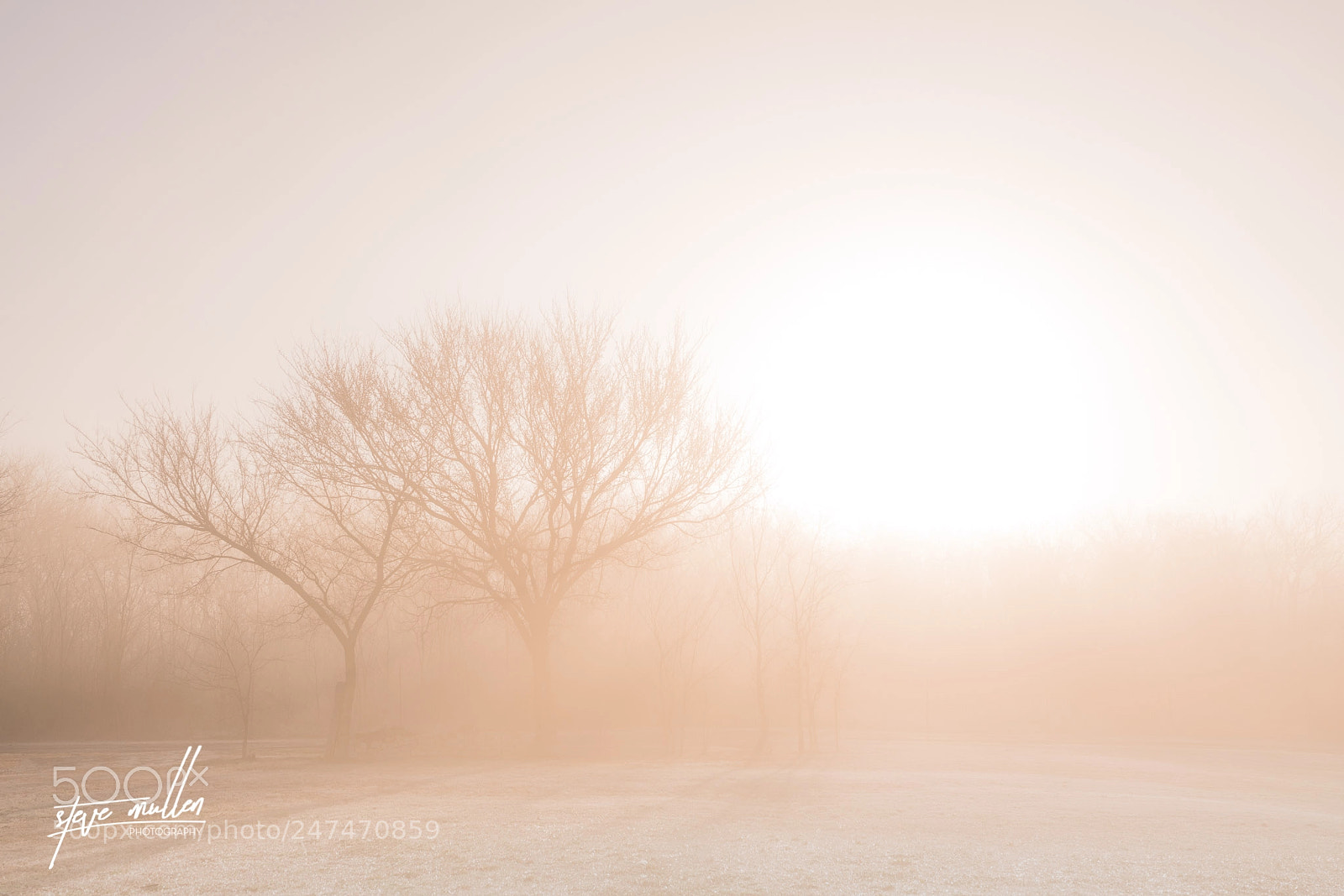 Sony a7R III sample photo. Foogy morning photography