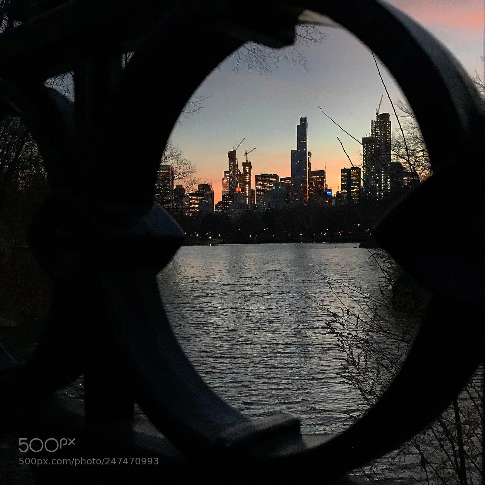Apple iPhone 7 Plus sample photo. Central park, new york photography