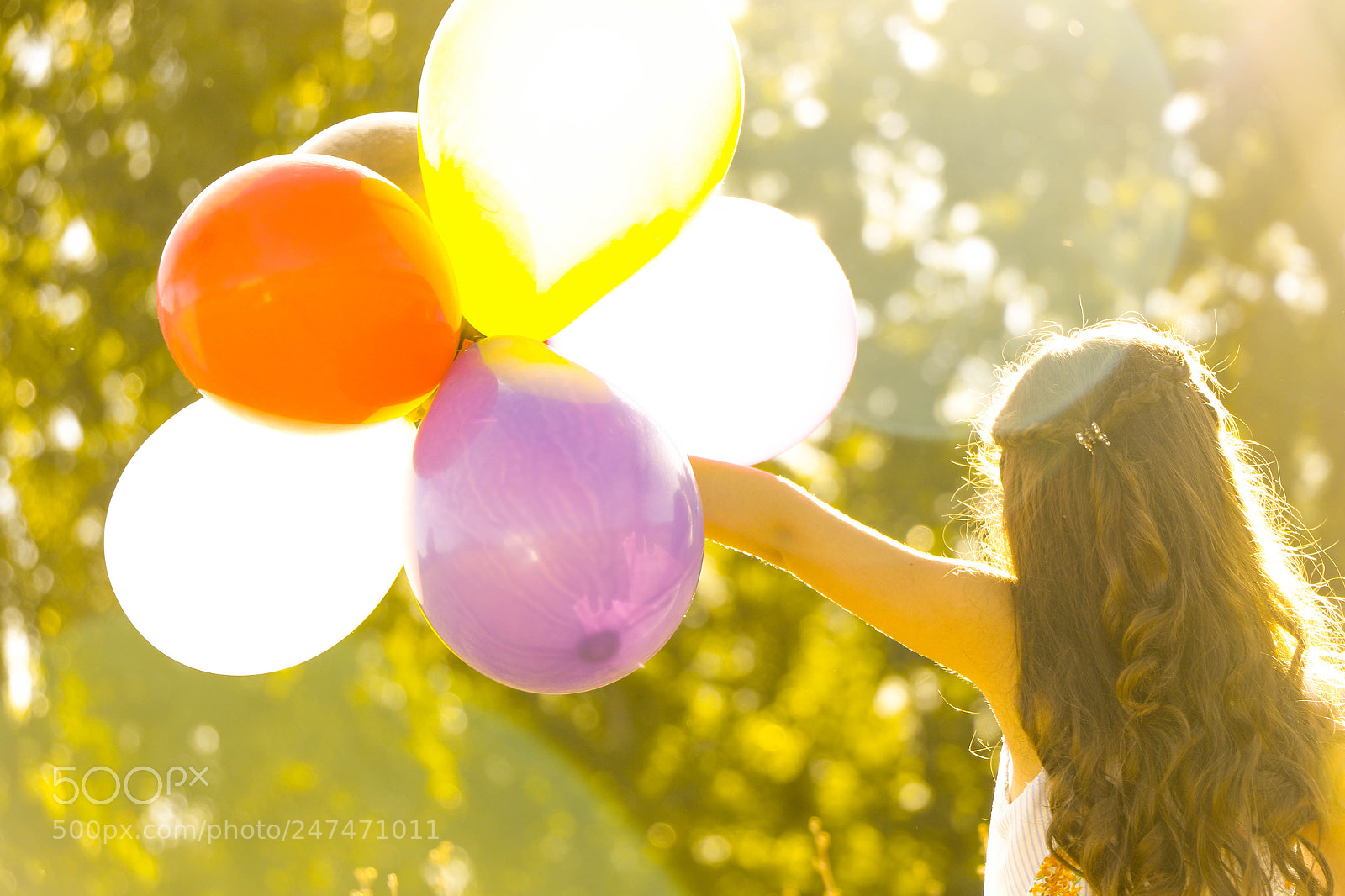 Canon EOS 7D Mark II sample photo. A photography