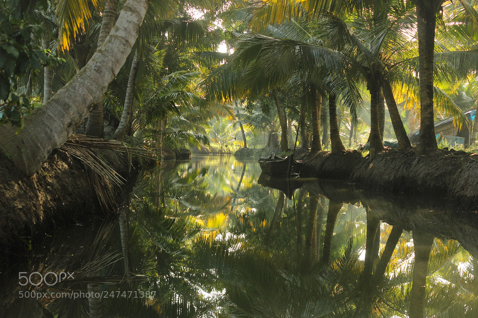 Canon EOS 600D (Rebel EOS T3i / EOS Kiss X5) sample photo. Kerala photography