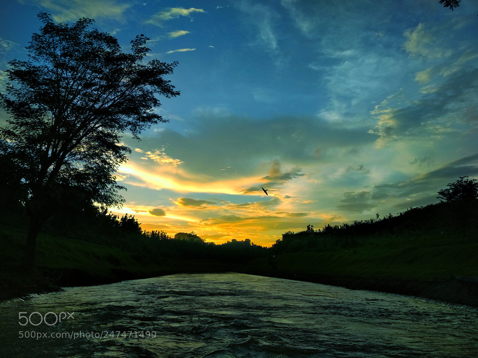 Xiaomi Redmi 4X sample photo. Untitled photography