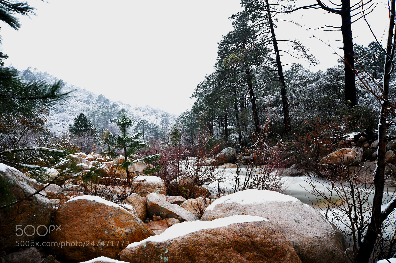 Nikon D7500 sample photo. Riviereneige photography