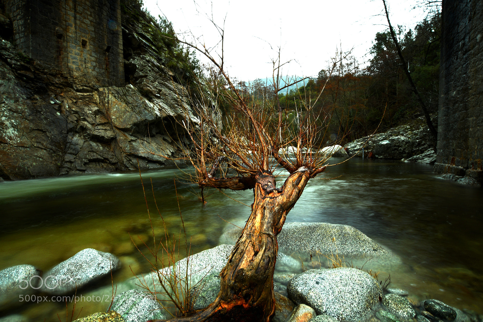 Nikon D7500 sample photo. River photography