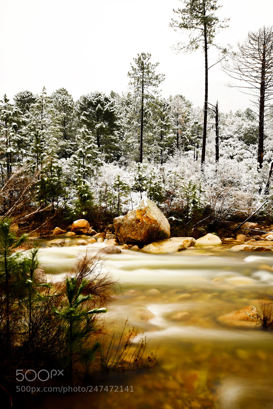 Nikon D7500 sample photo. Riviersnow photography