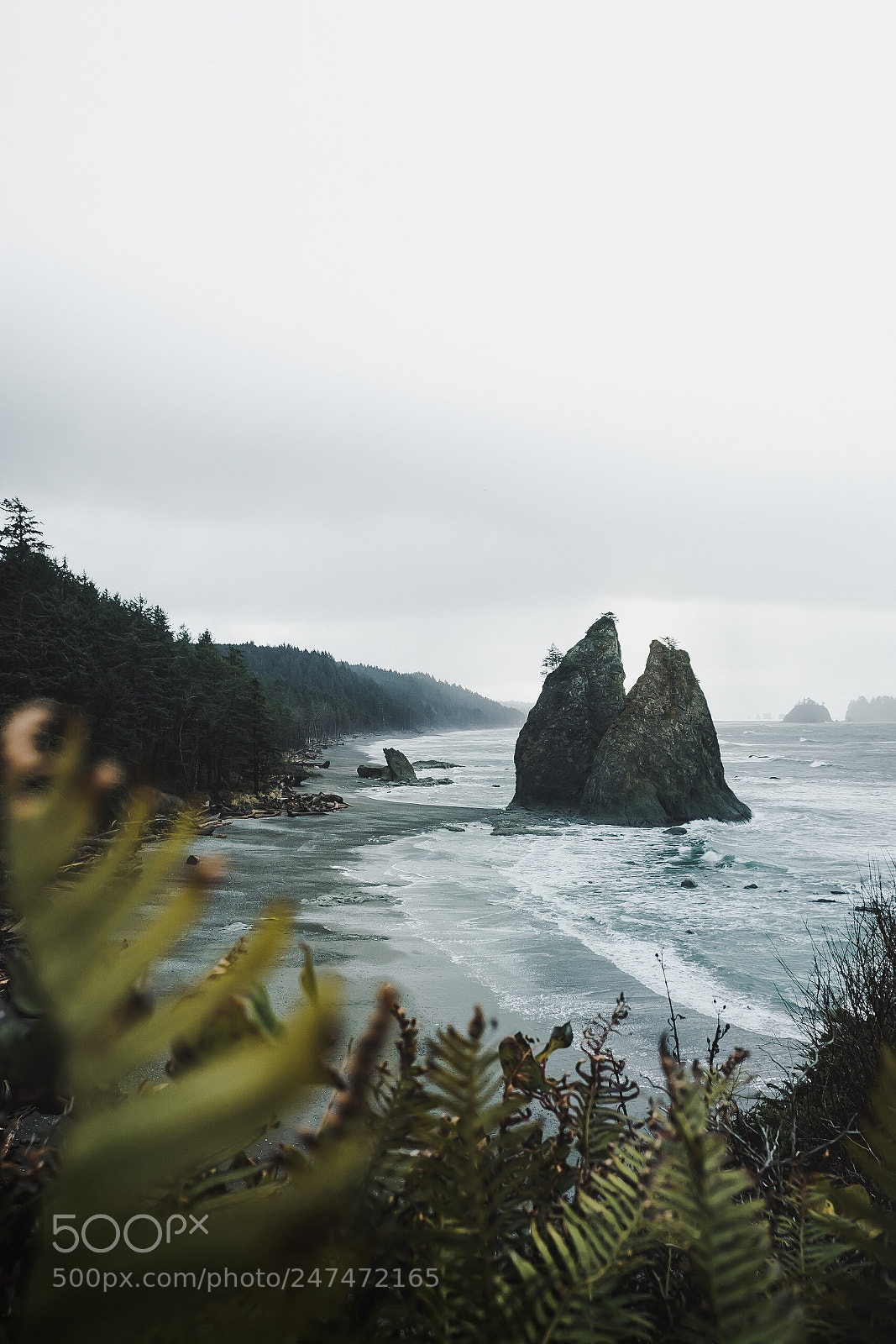 Fujifilm X-T2 sample photo. Mornings along the coast photography