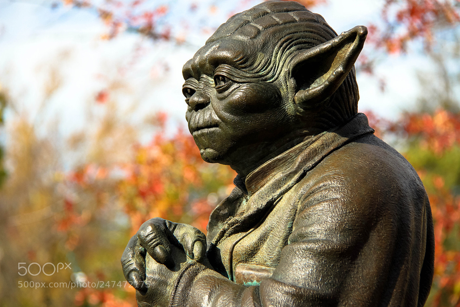 Canon EOS 7D sample photo. Master yoda - imagination photography