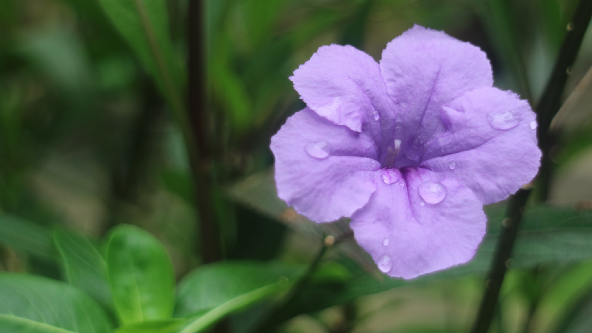 Canon EOS M3 sample photo. Img photography