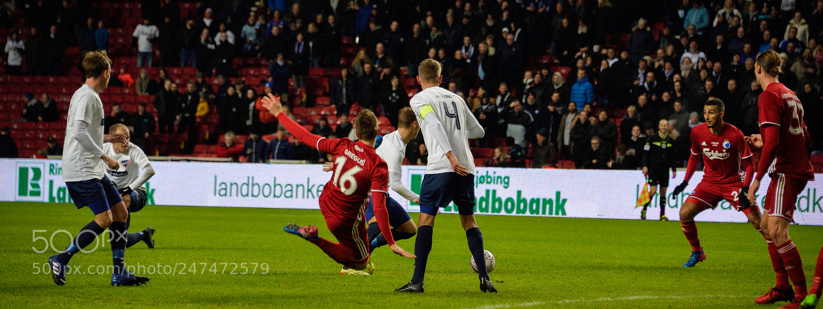 Nikon D610 sample photo. Failed dribble photography