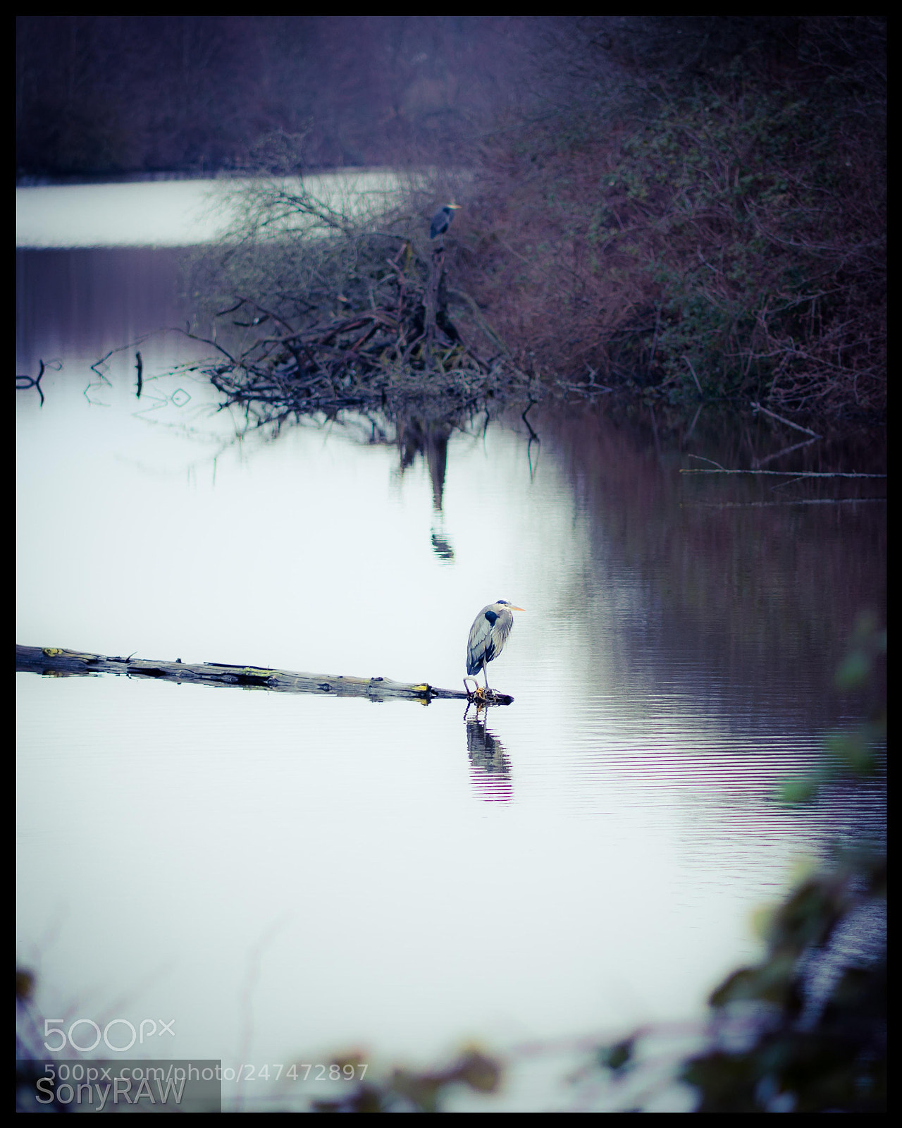 Sony a6500 sample photo. Calm waters photography