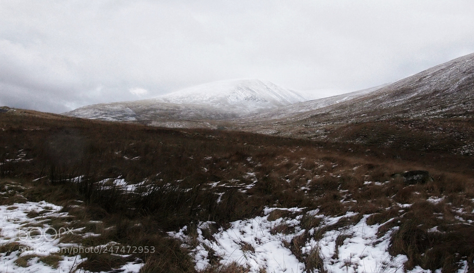 Olympus PEN E-PL1 sample photo. Snow-capped photography