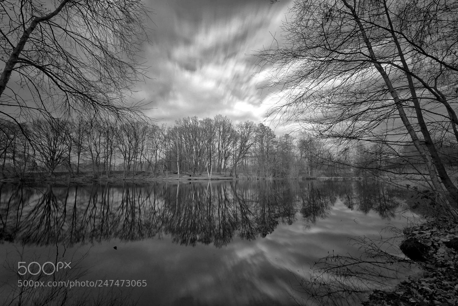 Sony a7R sample photo. Pond photography
