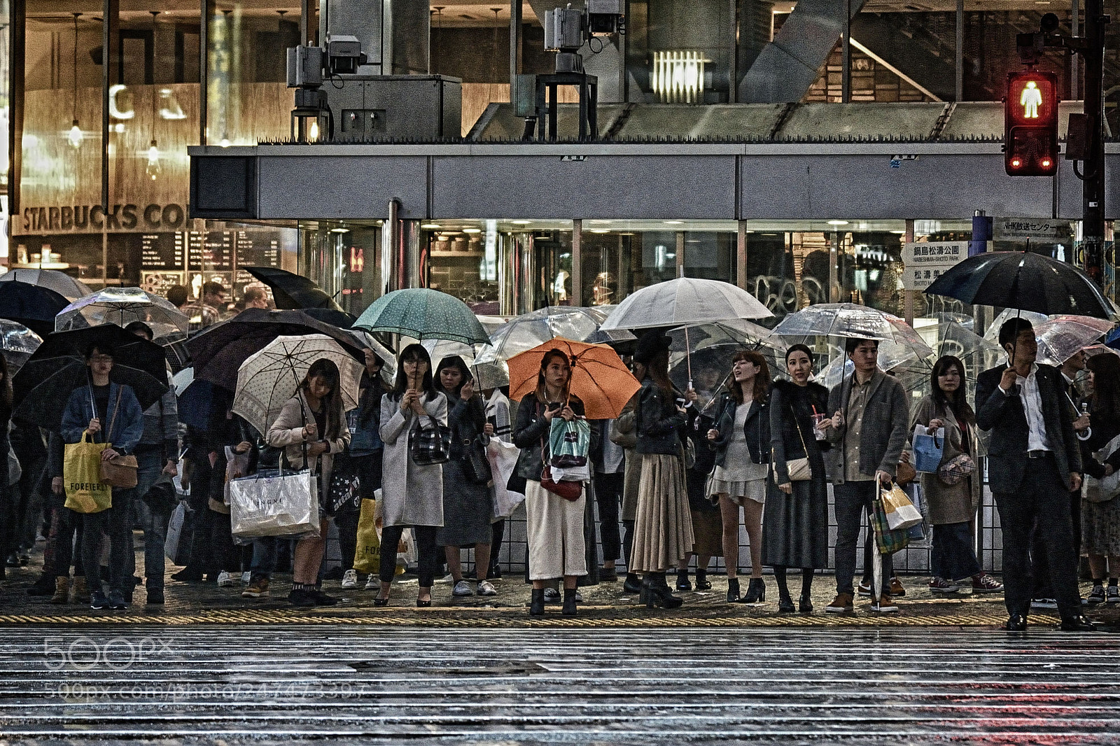 Nikon D600 sample photo. Rainy day photography