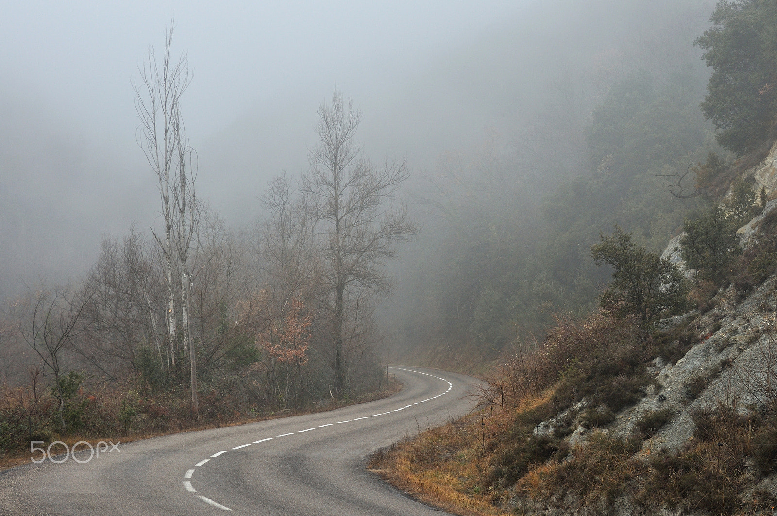 Nikon D90 sample photo. Carretera en la niebla photography