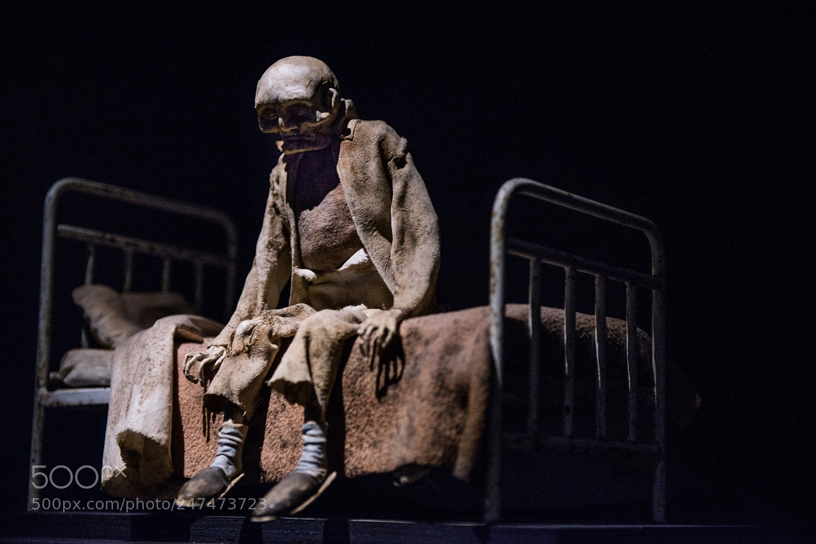 Nikon D610 sample photo. Museo della follia photography