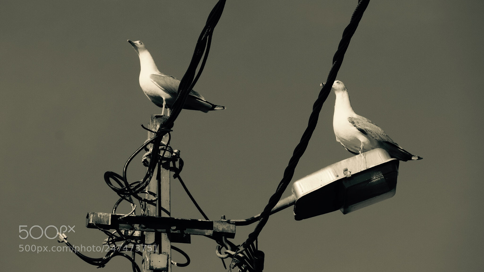 Fujifilm X-T1 sample photo. Copy paste photography