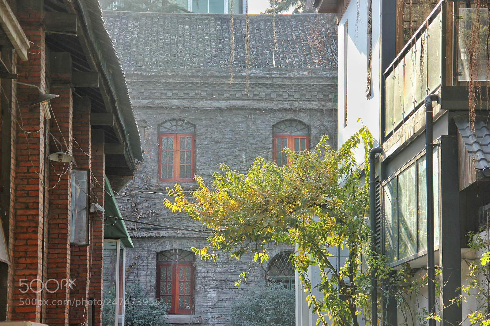 Canon EOS 550D (EOS Rebel T2i / EOS Kiss X4) sample photo. Old days photography