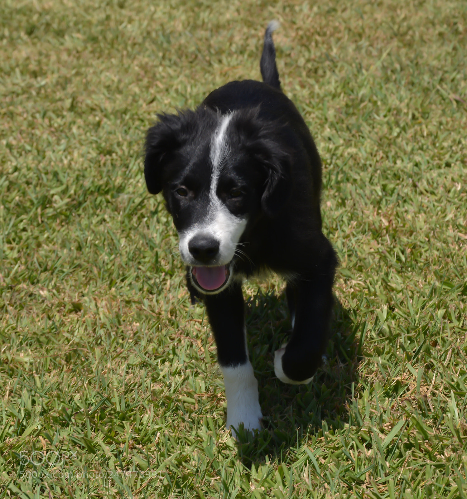 Nikon D7100 sample photo. Maicol. 3 meses y medio. photography