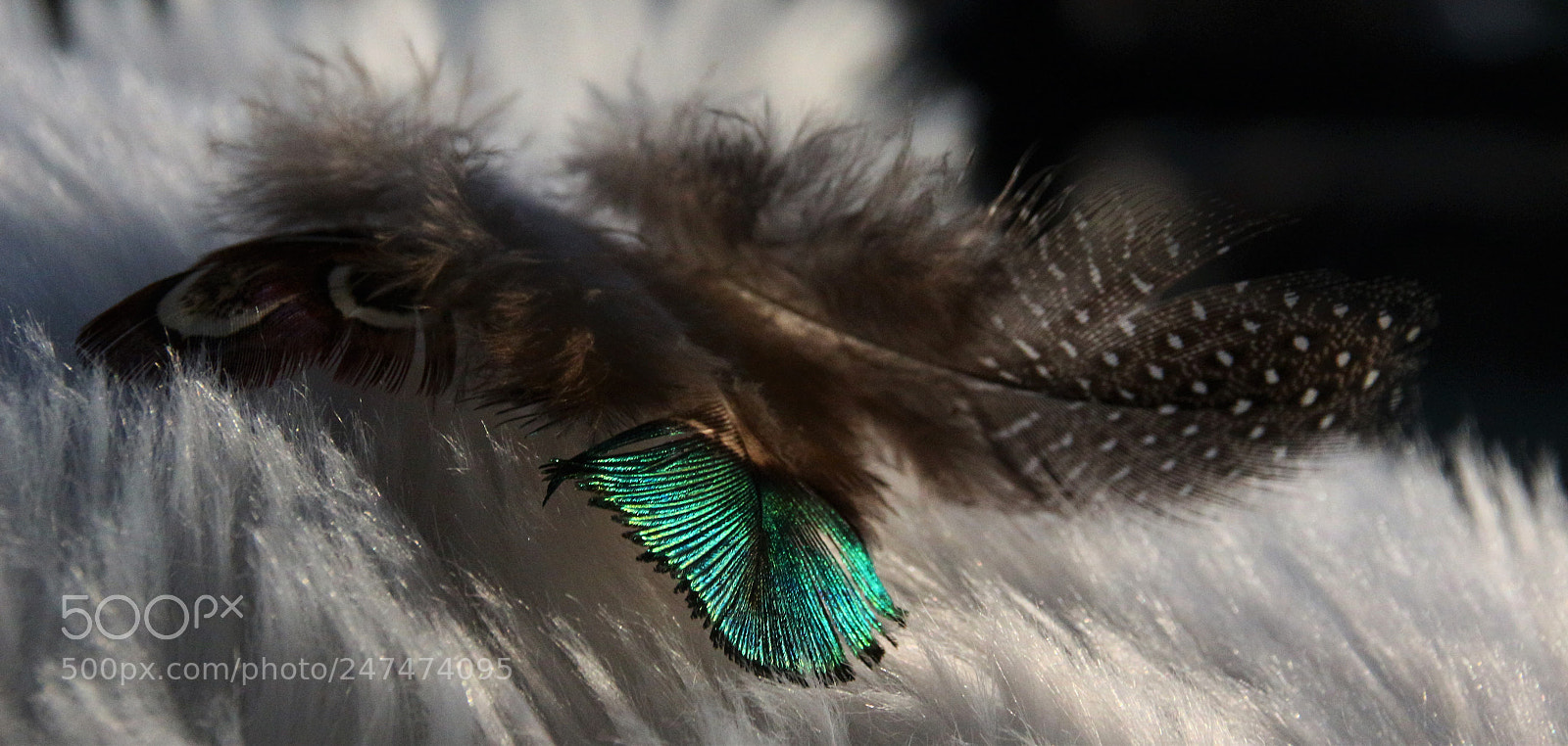 Canon EOS 100D (EOS Rebel SL1 / EOS Kiss X7) sample photo. Shadows............... photography