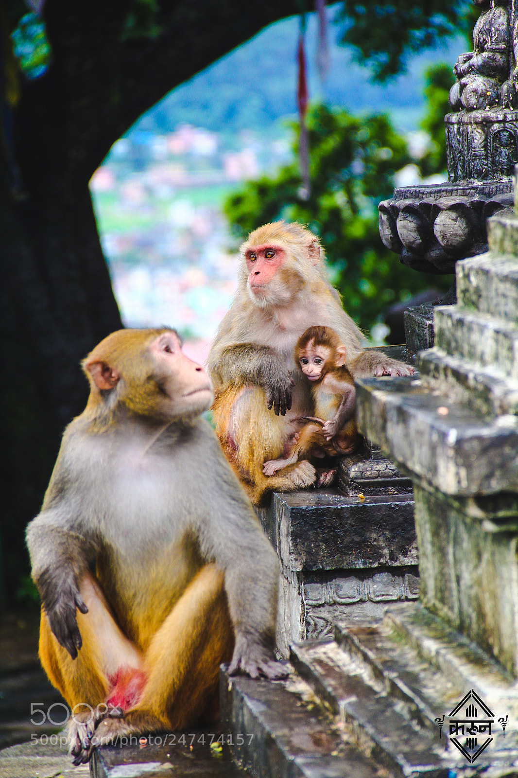 Canon EOS 60D sample photo. Mothers love, a pure photography