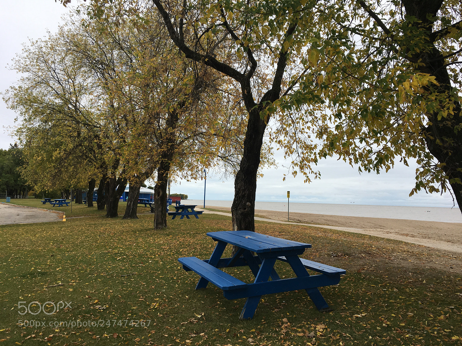 Apple iPhone 6s sample photo. Untitled photography