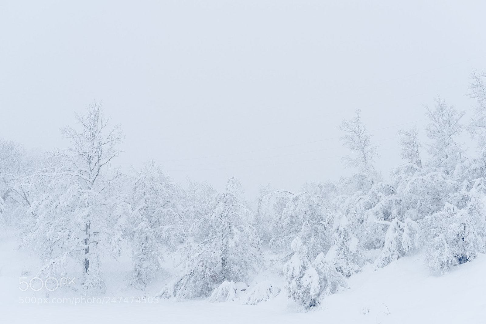 Nikon D810 sample photo. It’s winter photography