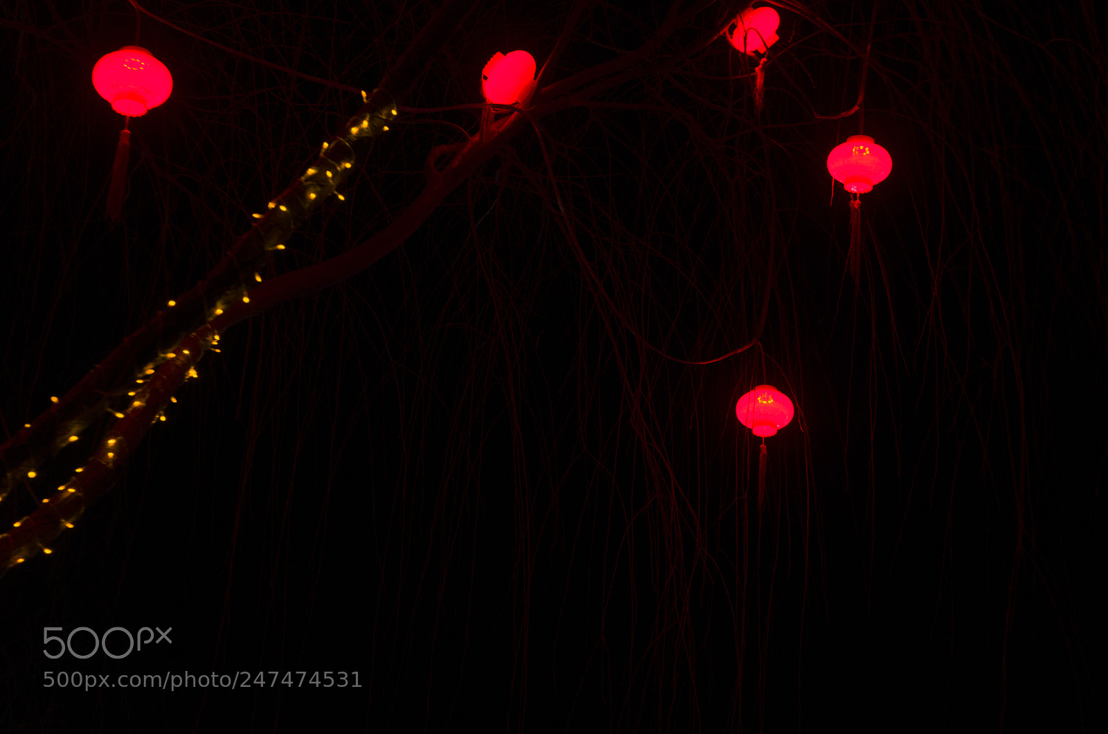 Nikon D800 sample photo. China newyear's light photography