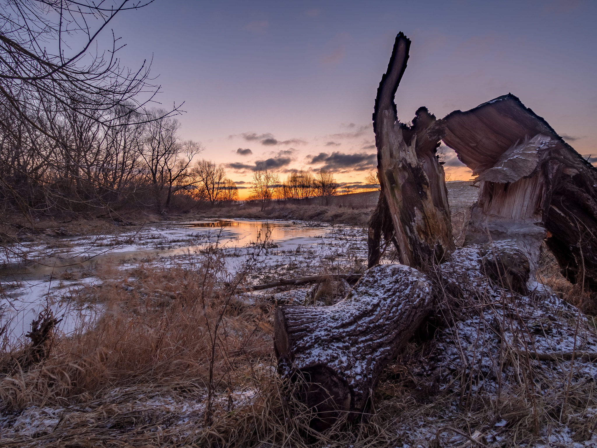 Olympus OM-D E-M10 II + Olympus M.Zuiko Digital ED 9-18mm F4.0-5.6 sample photo. Broken tree photography