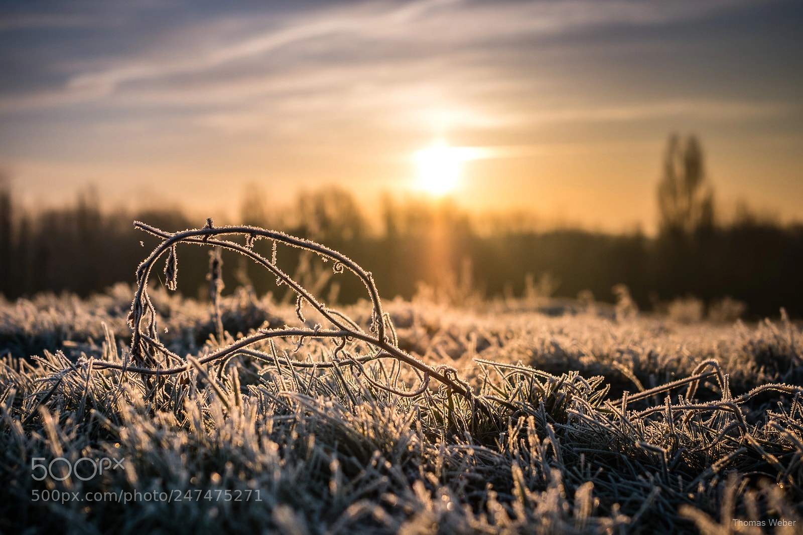 Panasonic Lumix DC-GH5 sample photo. Sunrise in winter photography
