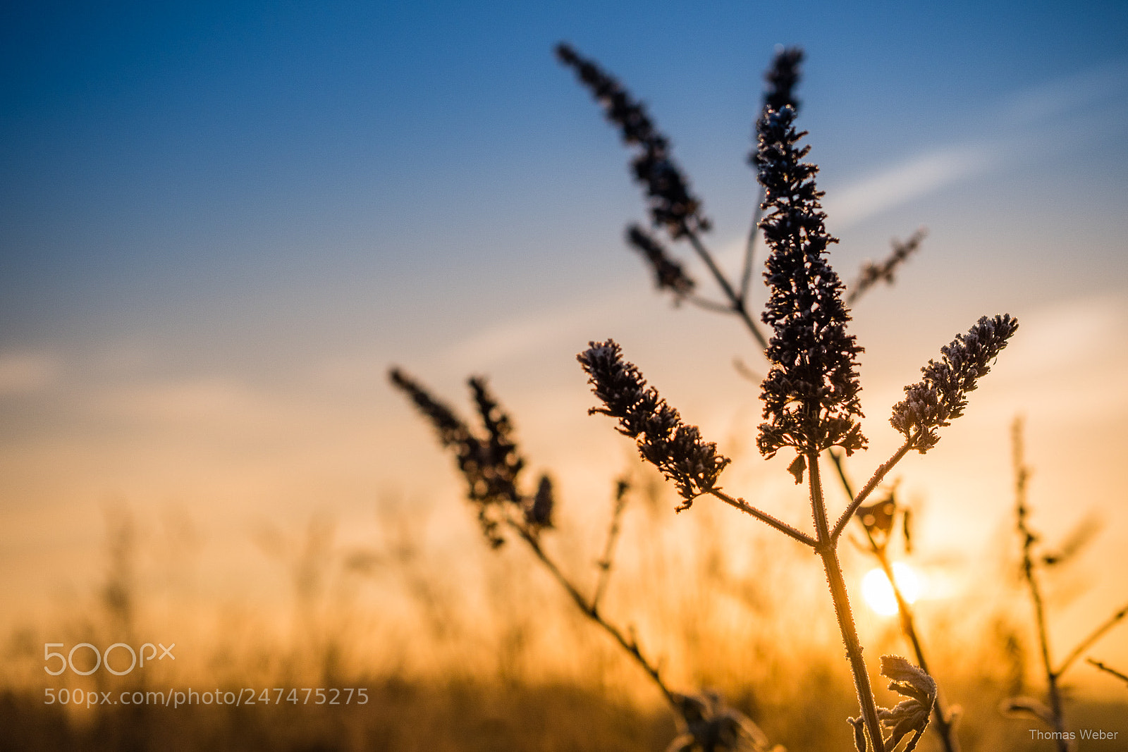 Panasonic Lumix DC-GH5 sample photo. Sunrise in winter photography