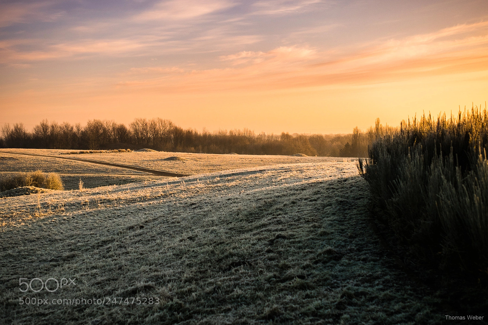 Panasonic Lumix DC-GH5 sample photo. Sunrise in winter photography