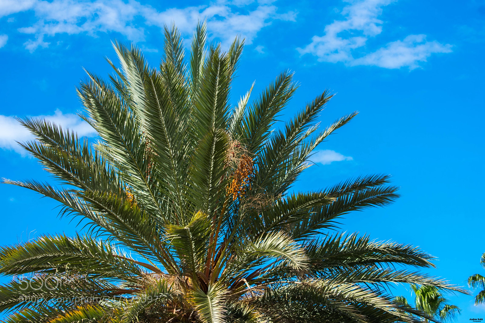 Nikon D3400 sample photo. Vacation photography photography