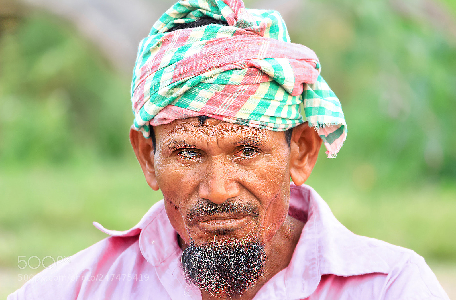 Canon EOS 1300D (EOS Rebel T6 / EOS Kiss X80) sample photo. Bangladeshi farmer photography