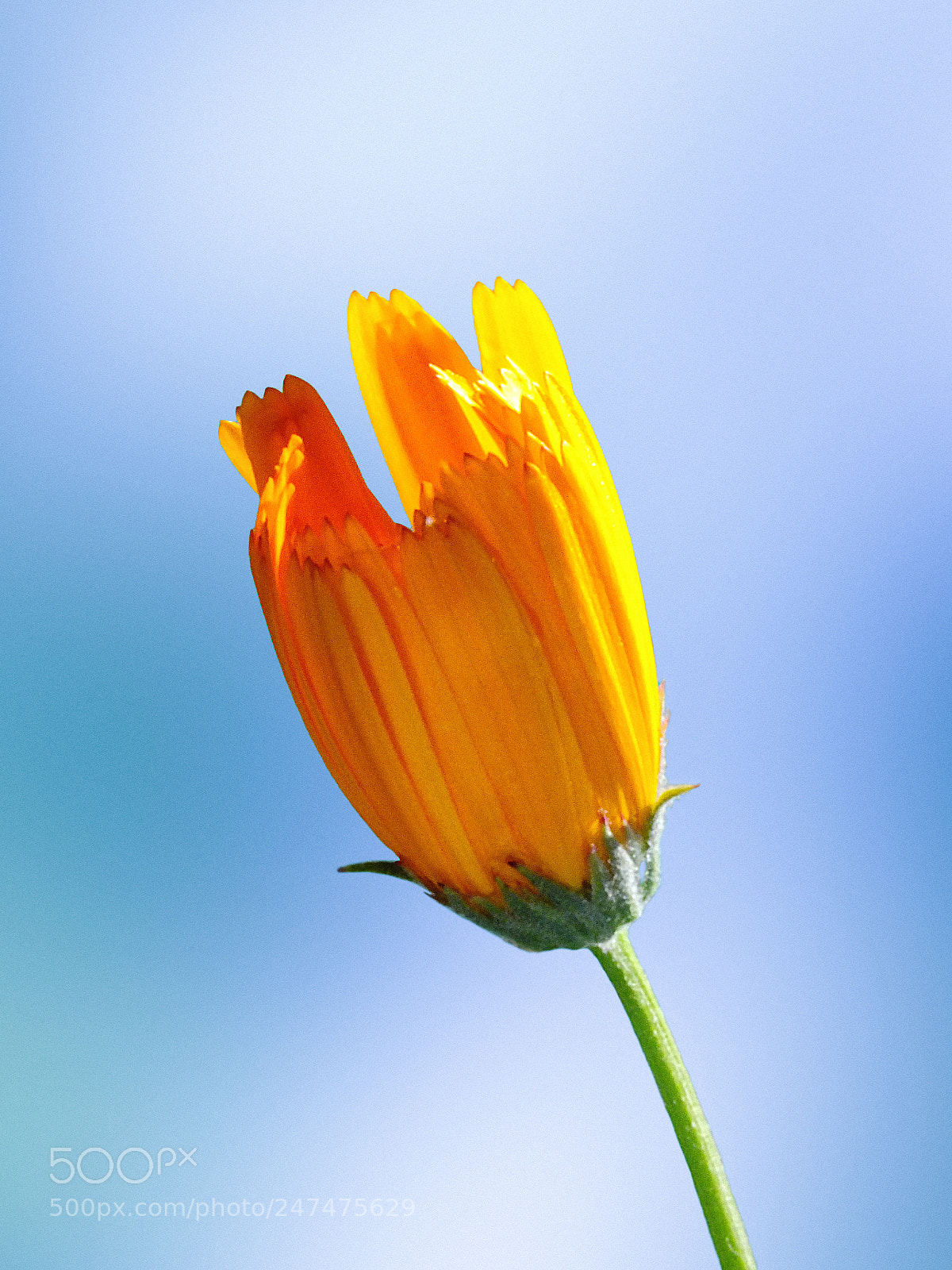 FujiFilm FinePix HS20 EXR (FinePix HS22 EXR) sample photo. 1.jpg photography