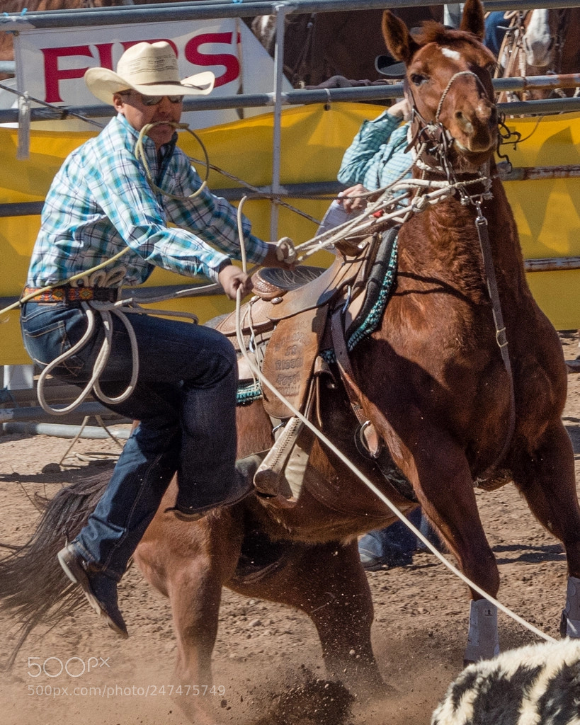 Olympus OM-D E-M5 II sample photo. Dismount photography