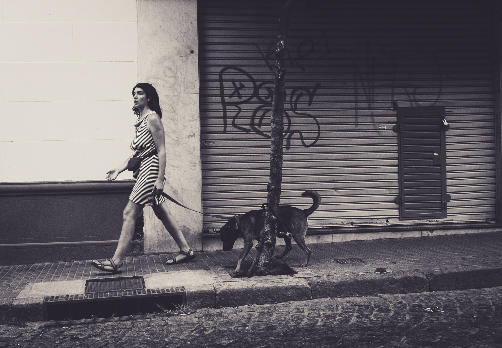 Sony Cyber-shot DSC-RX10 II sample photo. Paseando juntos photography