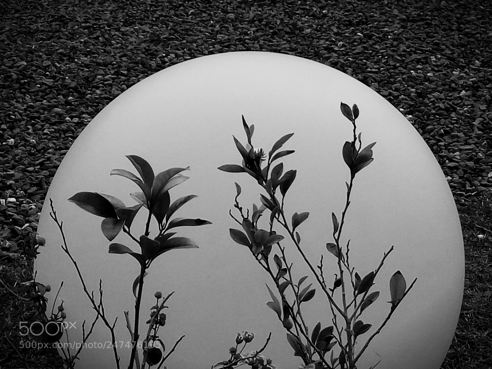 HTC D728X sample photo. Untitled photography