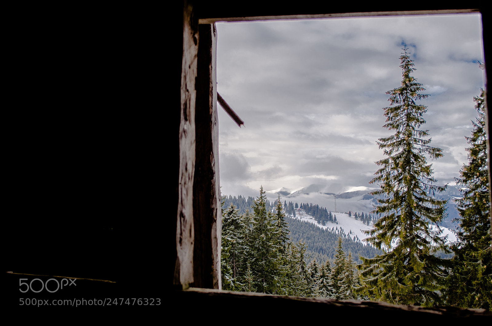 Nikon D5100 sample photo. Secret window photography