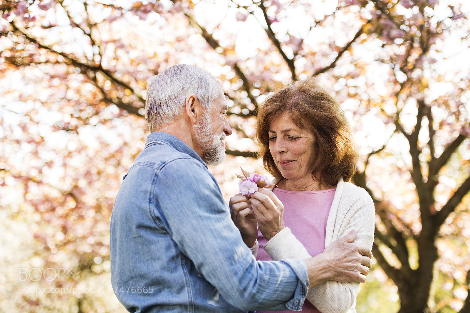 Nikon D5 sample photo. Beautiful senior couple in photography