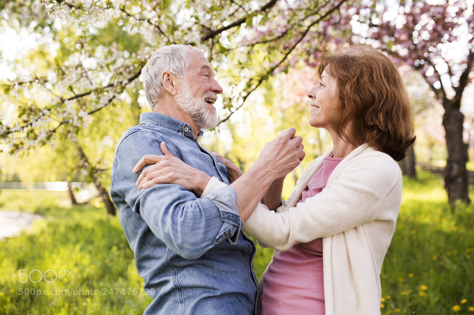 Nikon D5 sample photo. Beautiful senior couple in photography