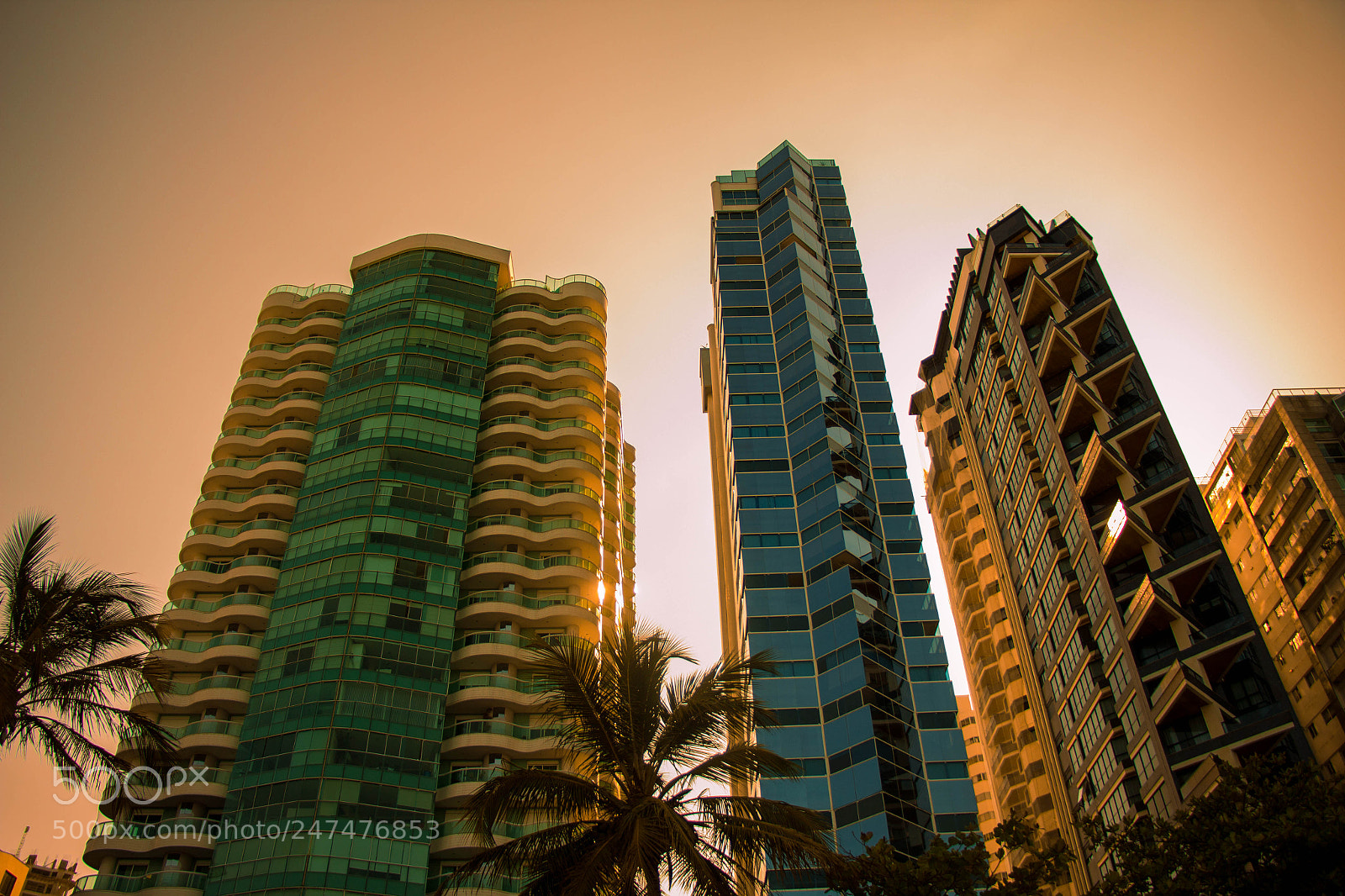 Canon EOS 60D sample photo. Untitled photography
