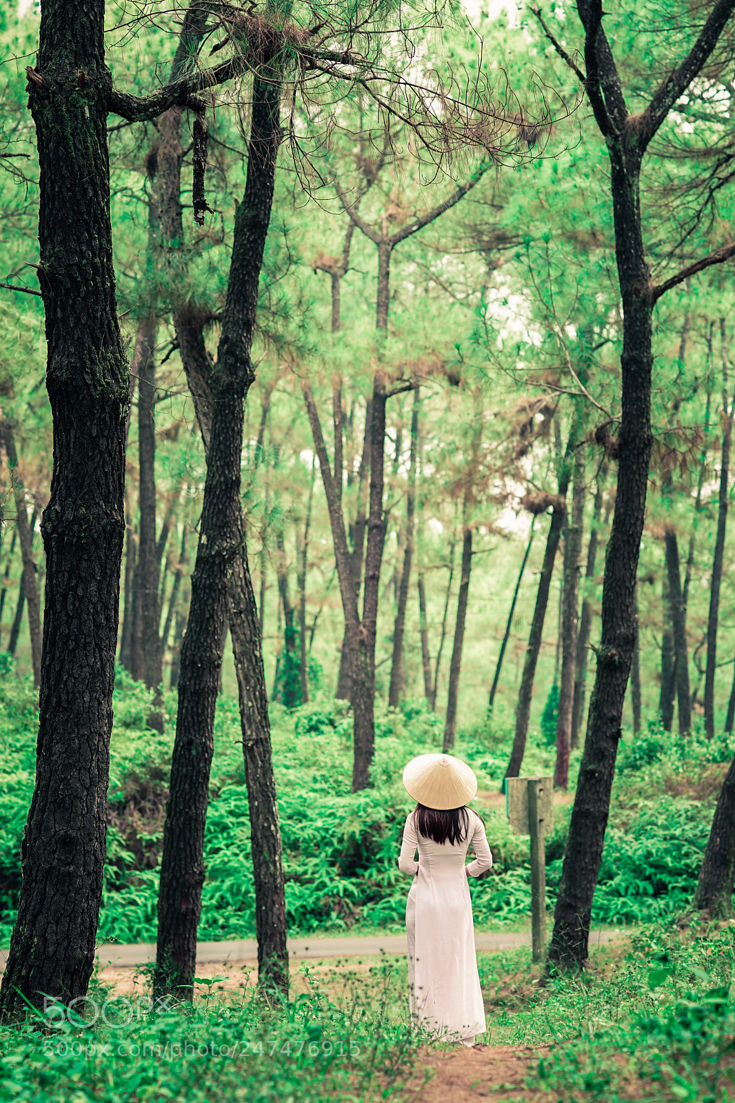 Sony a7 II sample photo. Vietnamese in ao dai photography