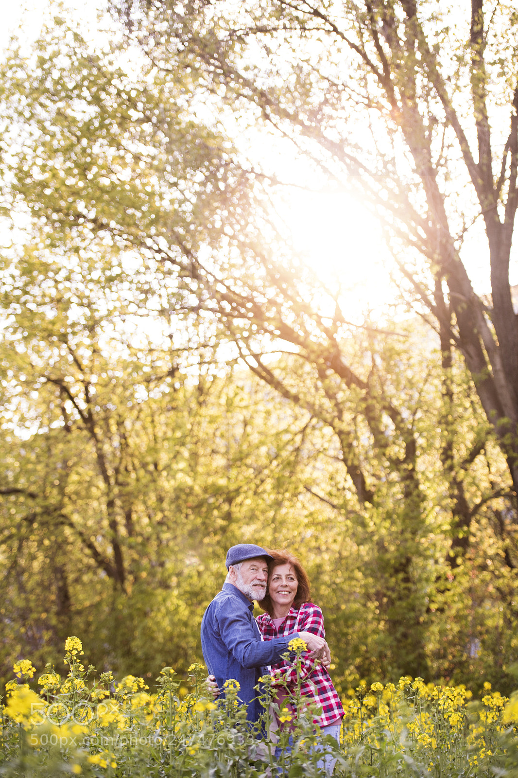 Nikon D5 sample photo. Beautiful senior couple in photography