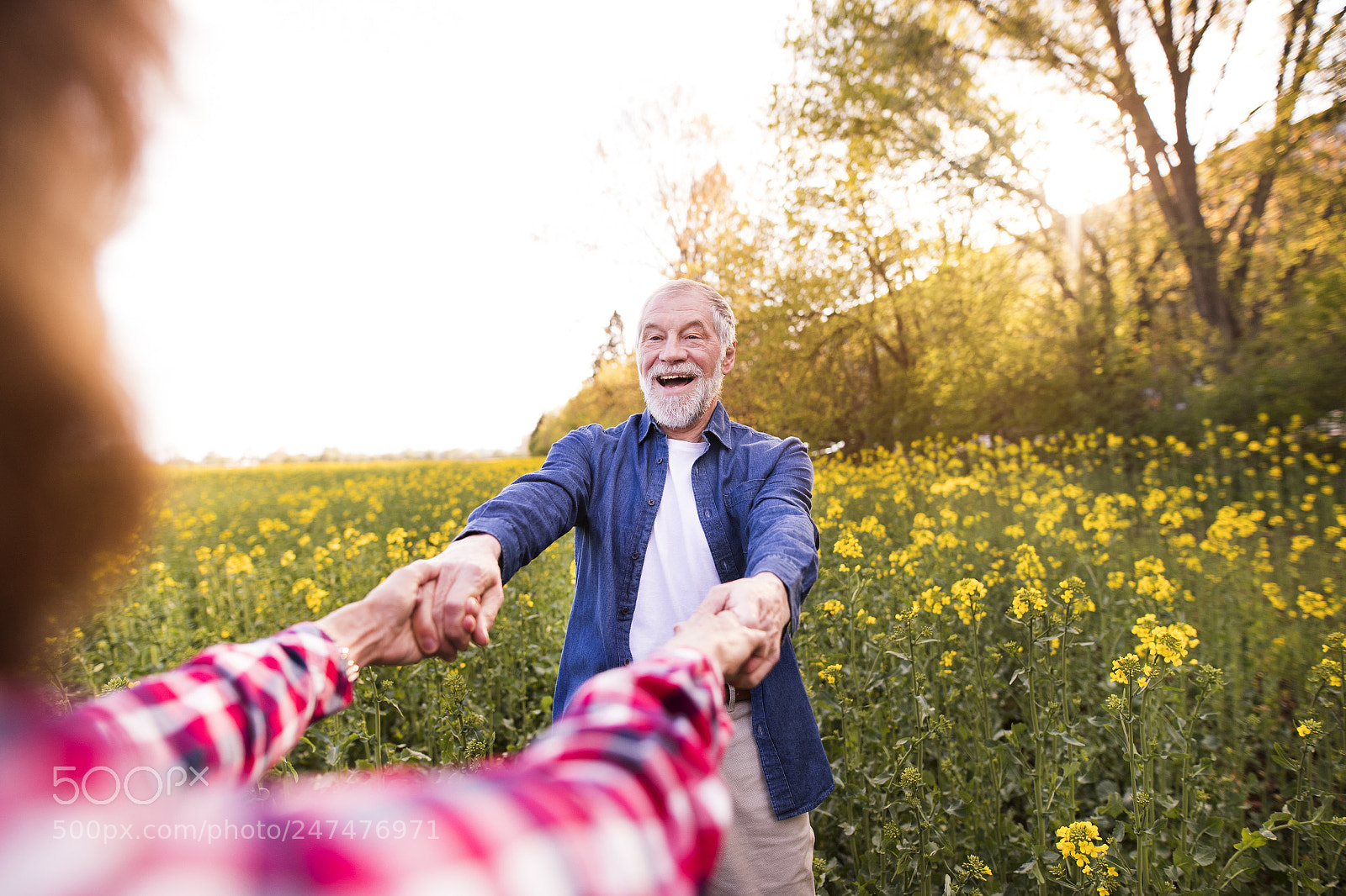 Nikon D5 sample photo. Beautiful senior couple in photography