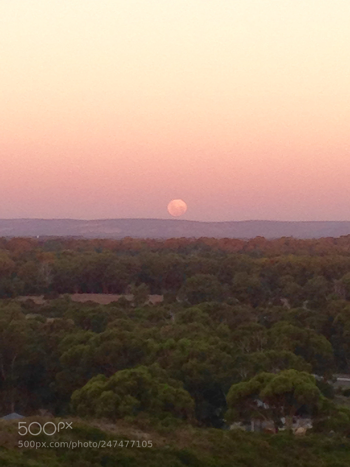 Apple iPhone 5 sample photo. Super blue moon rising photography