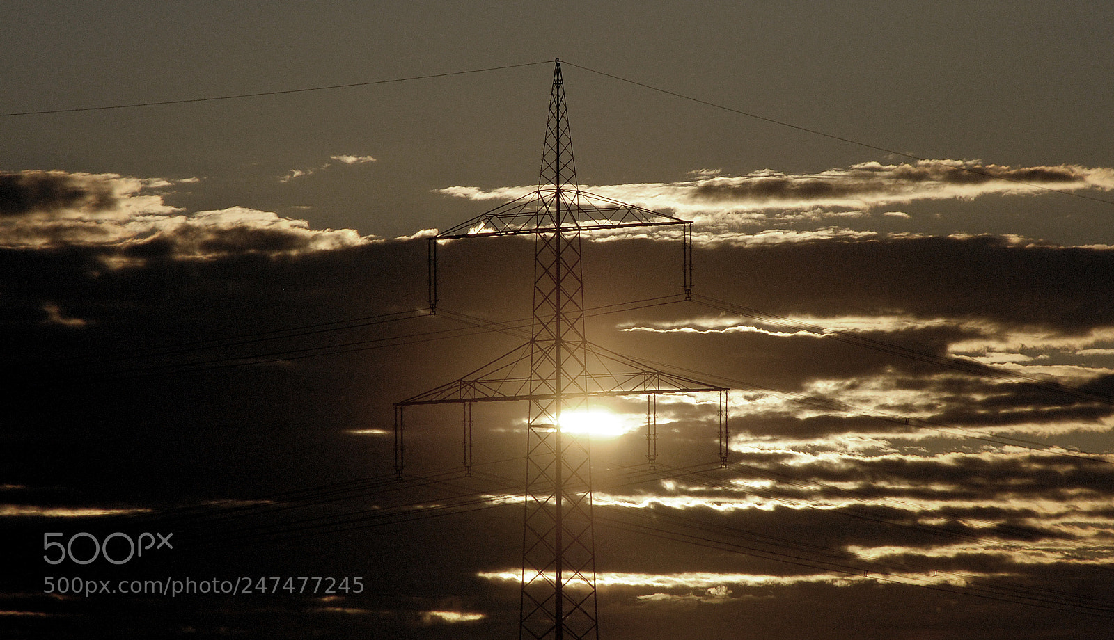 Nikon D80 sample photo. Bw electricity pylon photography